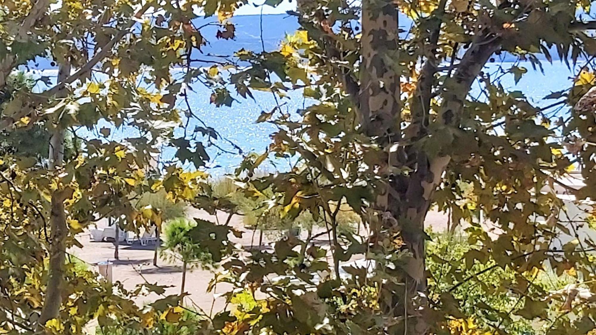 Apartment Punta Omiš Εξωτερικό φωτογραφία